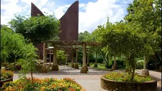 Exploring The Pretoria Zoo | The National Zoological Garden of South Africa