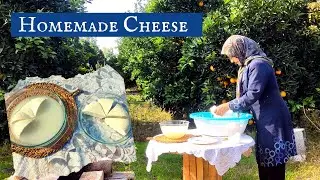 IRAN Village Life | How to Make Homemade Cheese with Just 2 Ingredients | Cheese Making