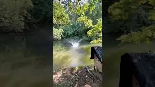 Slip and slide party in the woods! #jump #slipnslide #waterslide #raveinwoods #party