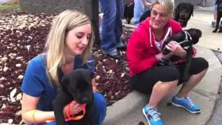 Last Hope K9 dog rescue