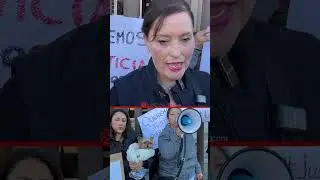Justice for &ldquo;El Chato&rdquo;: Activists demand that animal abuse be punished with prison time