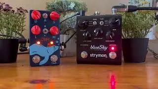 SHIMMER REVERB WITH TREMOLO - BLUESKY - HARMONIOUS MONK ii - The Pedal Chemist