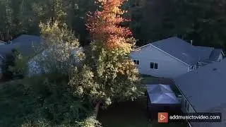 DJI Tello drone(360 testing)