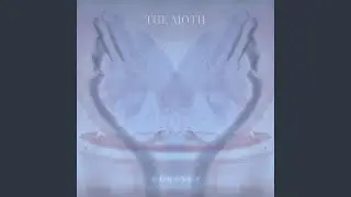 The Moth (Pump Remix)