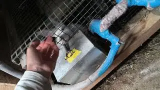 Hygiena, odstav, odobraté kotiska a preváženie 
