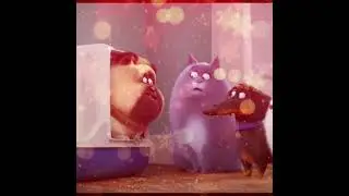 Secret Life Of Pets [edit] Max And Gidget -Set It All Free
