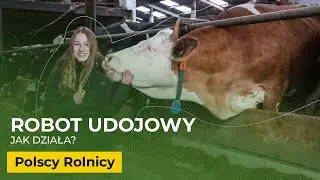 ROBOT udojowy DeLaval I@vvictoiy  I Polscy Rolnicy