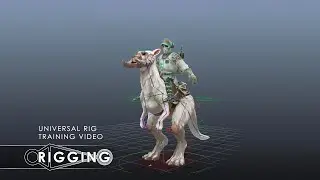 Universal Rig Training