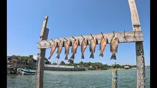 Choctawhatchee Bay Fishing with Lindy Lou Charters