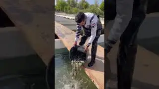 Как выращивают форель в Турции | How trout is grown in Turkey