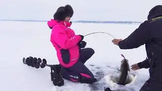 ЧТО ОНА ДЕЛАЕТ?! КАТЯ В ОГРОМНОЙ СТАЕ РЫБЫ! НАЧАЛОСЬ!!! КРУПНЯК ВЫЛЕТАЕТ ОДИН ЗА ОДНИМ! Рыбалка 2026