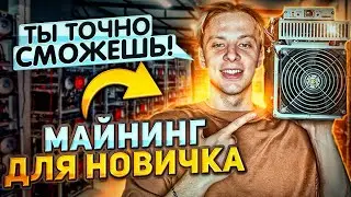 😱 Майнинг для новичка | Как стать профессионалом за 10 минут!