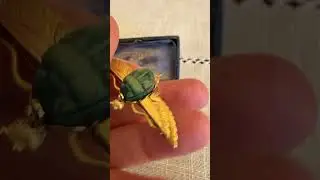 Egyptian Revival scarab brooch, circa 1880 &ndash; sold by karendeakinantiques.com