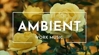 Focus and Relax Ambient Music: for Increased Work Productivity and calmness