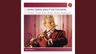 Flute Concerto in E Minor: Allegro maestoso
