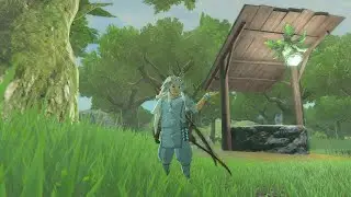 Zelda TOTK - Reward for finding all 58 wells