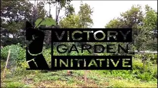 Arch 350 Class Videos