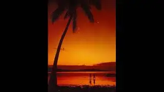 [FREE] Joji Type Beat - 