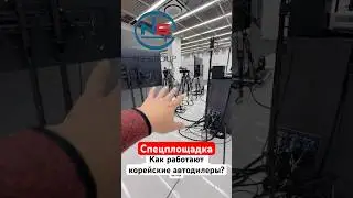 Как снимают авто корейские автодилеры? | NS Auto  #автоизкореи