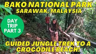 BAKO NATIONAL PARK DAY TRIP - Part 3 - POV Jungle Trail Trek to a crocodile beach! Sarawak, Malaysia
