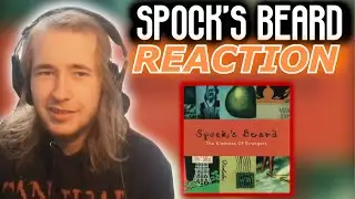 SPOCK'S BEARD - Harm's Way | REACTION /REVIEW