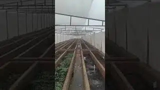 Vermicompost Production Unit Of @Uksagrofarm