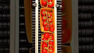 Почему фрукты в продуктовых магазинах всегда выглядят такими свежими и аппетитными?