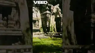 Let's talk about the forgotten part of history 🌍....................#ytcommunity #shortfeed  #shorts