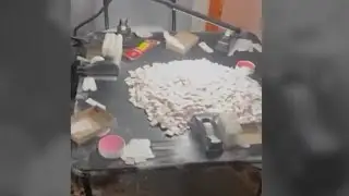 11 busted for running drug packaging ring in NYC: officials