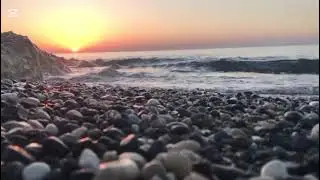 SEDİR AĞACI-VOL 2 Aİ