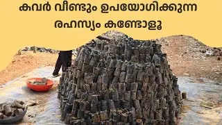 ഇന്നത്തെ നഴ്‌സറി വിശേഷങ്ങൾ കണ്ടോ? | Pookkulathel AgriFarm
