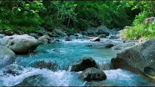 Soft River Stream Sounds for Deep Sleep, Meditation, Stress Relief and Peaceful Mind Rest