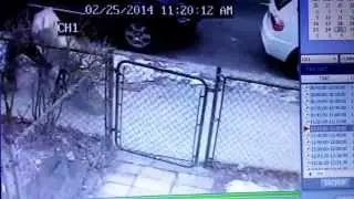 Fedex delivery gone wrong