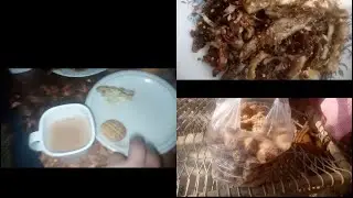 Aaj humne sagg and fish pakaye / Ali zeb khan vlog #alizebkhanvlog 