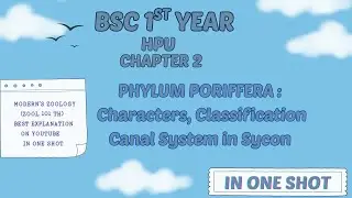 Phylum Porifera: Characters, Classifications Canal System in Syscon B.Sc. 1st year Zoology