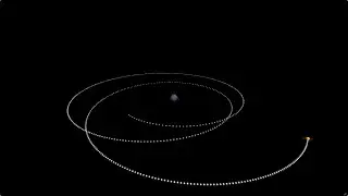 Black Hole Zoom-Whirl Orbit (2,0,1)