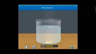 Budding in yeast ---- Experiment 🧪🧪