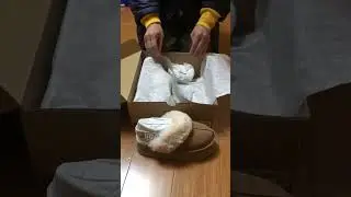 I bought the UGG Women's Funkette.