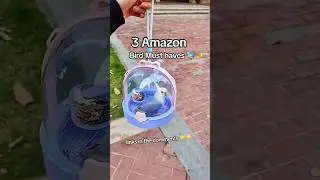 3 Amazon Finds for your bird 🐦🙈