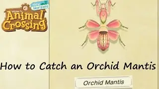Animal Crossing: New Horizons - How to Catch an Orchid Mantis