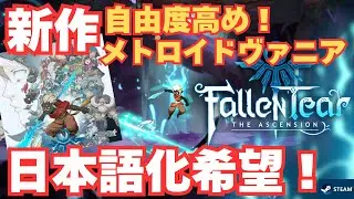 【新作メトロイドヴァニア】総勢22人の仲間たちのスキルを利用して攻略！ビジュいいじゃん！【Fallen Tear: The Ascension】on Steam