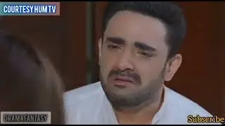 High expectations big disappointment laadli Last Episode || Review || Hum Tv || Drama Fantasy ||