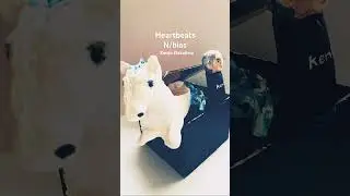 Heartbeats もオシャレすぎる〜！ #中島健人 #N_bias #KentoNakajima #music #紙粘土