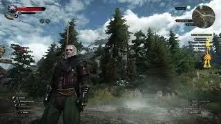 Ich erkunde eine geheime Höhle! | The Witcher 3: Wild Hunt - Complete Edition #152
