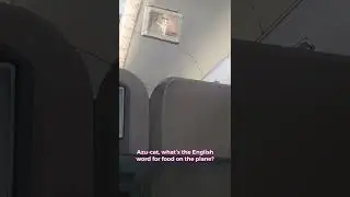 Their engrish is so good