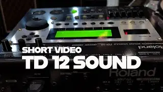 Test Roland TD12