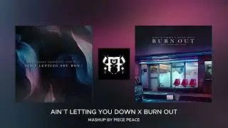 MARTIN GARRIX & SAKSHAM - AIN`T LETTING YOU DOWN X BURNT OUT [ PIECE PEACE MASHUP]