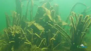 Fishiding Artificial Fish Habitat Main Complex fall 2021 holding fish deep.