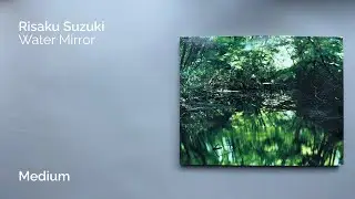 Risaku Suzuki &mdash; Water Mirror