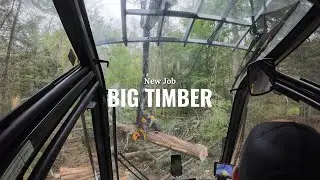 New Job, Big Timber | Cutting Roads | Ponsse Logging | Active H8 